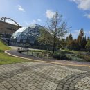 담양에코센터 | 담양 에코센터-개구리 생태공원