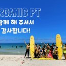 오가닉피티 이미지