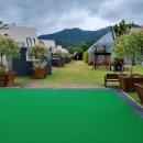 버드글램핑 이미지