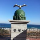 셀뷰 이미지