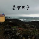 온평리-12 네이버블로그