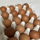 행복양계장 이미지