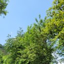 말마산장