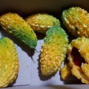 여주-0626 이미지