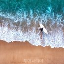 (주)동양레포츠 이미지