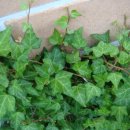 의령군청 이미지