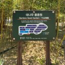 한국대나무박물관 | 〔담양〕담양한국대나무박물관 기본 정보부터 대숲 산책길까지