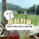 정도리펜션 | [완도] 바하카페, 정도리 카페,뷰 맛집,내돈내산,솔직후기