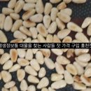 홍천명품잣영농조합법인 이미지