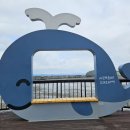 무안황토갯벌랜드B 이미지