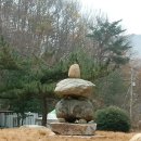 힐스템생활건강 | 비우면 다시 건강으로 채워진다.(초소식과 명상 참여 후기)