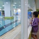 씨엘키즈 어린이수영장 이미지