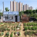 도신농장 티스토리