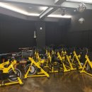 아라핏짐 이미지