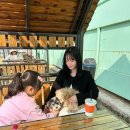 율무네애견 이미지