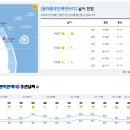 2023년 2월 4일(토요일) 08:00 현재 대한민국 날씨정보 및 기상특보 발표현황 (울릉도, 독도 포함 - 기상청발표) 이미지