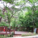 솔바람야영장 이미지