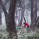 지천솔밭 이미지