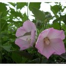 마음의 양식 이미지