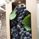 홍길동농장 이미지