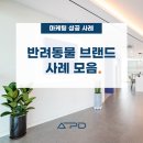 [반려동물 브랜드 마케팅 레퍼런스] SA, DA 는 물론 라이브 커머스까지!