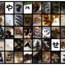 조은하루 이미지