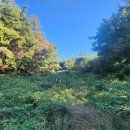 홍천염소농장 이미지