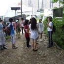 크린데이 이미지