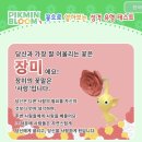 댕댕카 | 다( )자 (먹,죽,패,웃,자,박,살,놀,잊 중 택1)