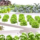 마일농장 이미지