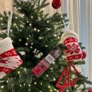 뉴스타 전자 | [버블몬 몽스_신제품]편의점 일회용 전자담배 버블몬 몽스 '올뉴몽, 올뉴스타, 리치몽' 신상후기