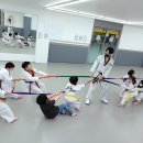 진향태권도장 이미지