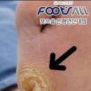 효민3호 이미지