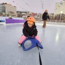 탄천야구장 | 2026 성남 탄천 스케이트 민속썰매 천원의 행복 이용후기