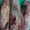 힘내시고 힘내세요 / 자연산 숫치 민어 딱 2마리 남았습니다 이미지
