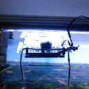 대일세탁소 이미지