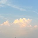 구청 남측광장 | 데이트 및 나들이 추천 월드컵경기장 K리그 서울 강원 직관 후기 (W석 시야, 음식 반입)