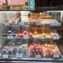 예쁠수밖개 이미지