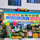 왕대박농축수산물