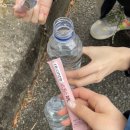 팔공산떡볶이