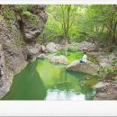 국선도 종합 이미지