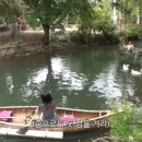 사진찍는여자