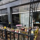 정아애견 이미지