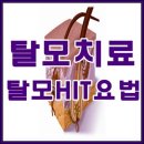 두피질환 종류 헤어셀 어떤탈모도 안전하게 제거해요 이미지