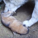 곰순이PC 네이버블로그