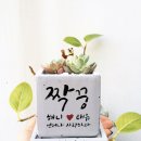 하트하우스 이미지