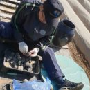 김미경농장 이미지