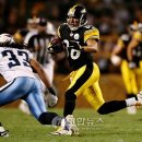 스타필드NFL 이미지