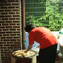 영희네민박 이미지