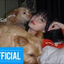 유튜버 꿈나무 이미지